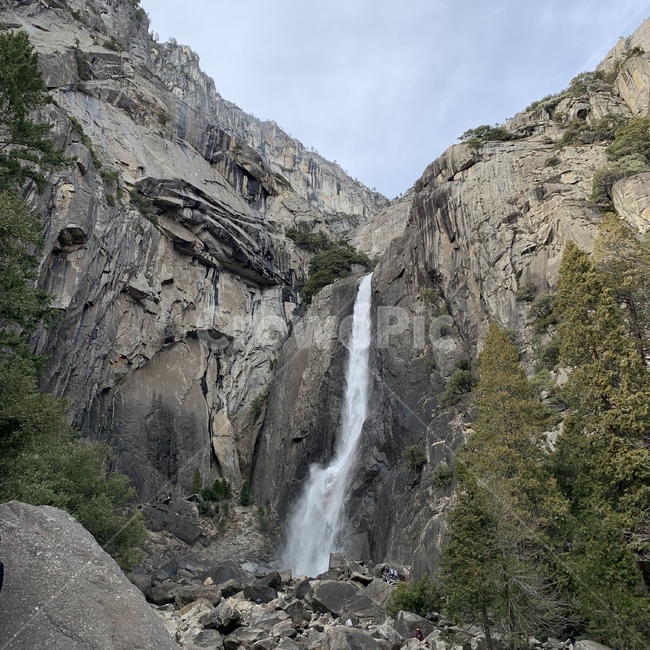 rest,forest,nature,tree,hiking,California,nationalpark,tour,Yosemite National Park,mountain climbing,healing,superb view,yosemite,waterfall