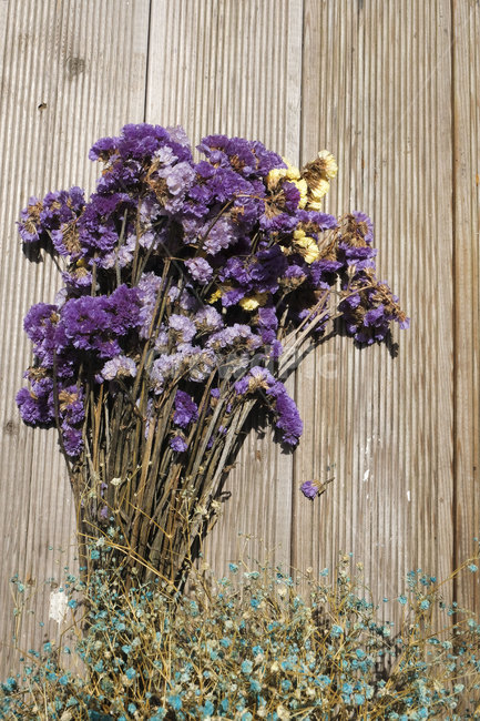 꽃,꽃다발,식물,flower,plant,bunch,bunchofflower