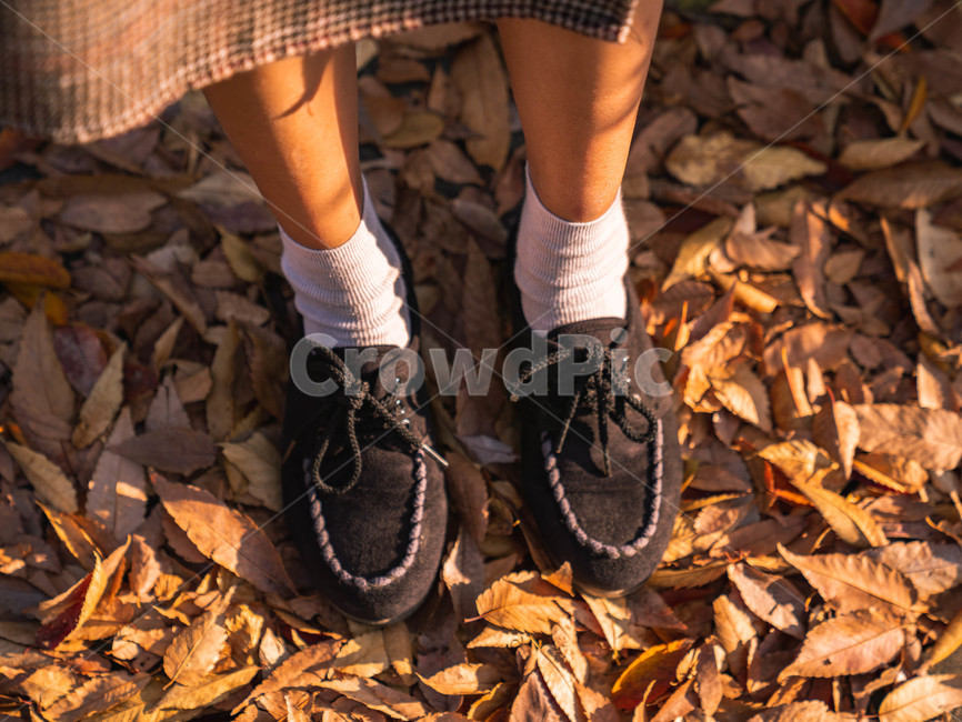 낙엽,가을,신발,양말,메이플,가을,계절,fall,autumn,season,사람,인물,인간,human,person,신체일부,몸,body,여성,여자,woman,female,lady,감성,sensible,feeling
