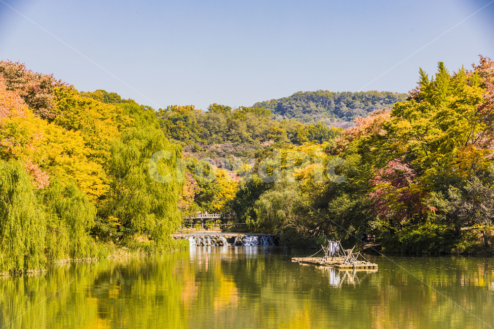 가을,풍경,자연,반영,호수,가을,계절,fall,autumn,season,자연,풍경,nature,landscape,한국자연풍경,한국자연경관,korea nature landscape,water,물,outdoors,옥외,land,땅