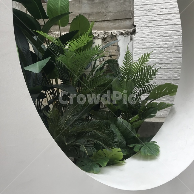 nature,자연,풀,grass,green,카페,cafe,interior,인테리어