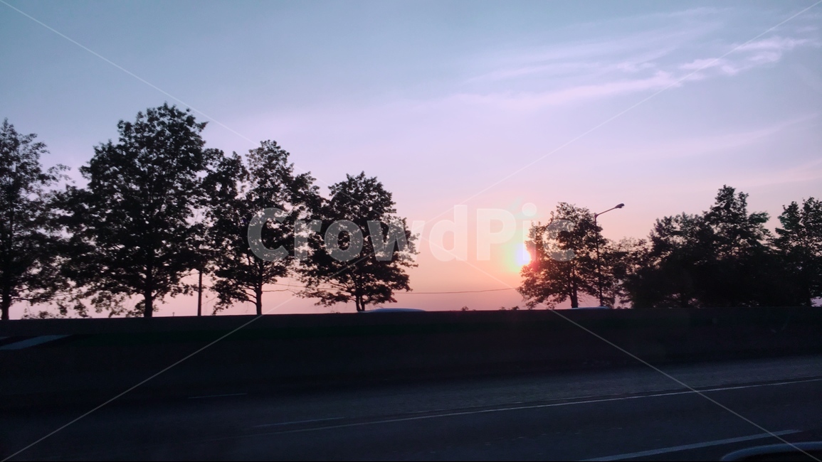 자연,풍경,하늘,노을,가을,자연,풍경,nature,landscape,outdoors,옥외,plant,식물,tree,나무
