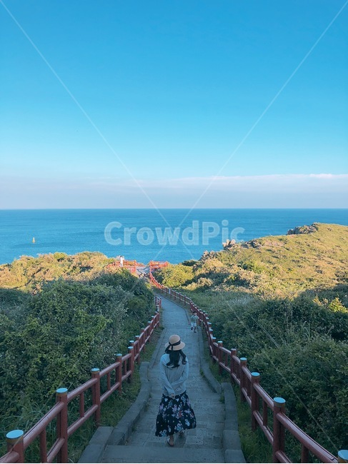 제주도,여행,산책,감성사진,색감,용머리해안,고요,하늘,바다,나무,긴머리,여유,사람,인물,인간,human,person,여성,여자,woman,female,lady