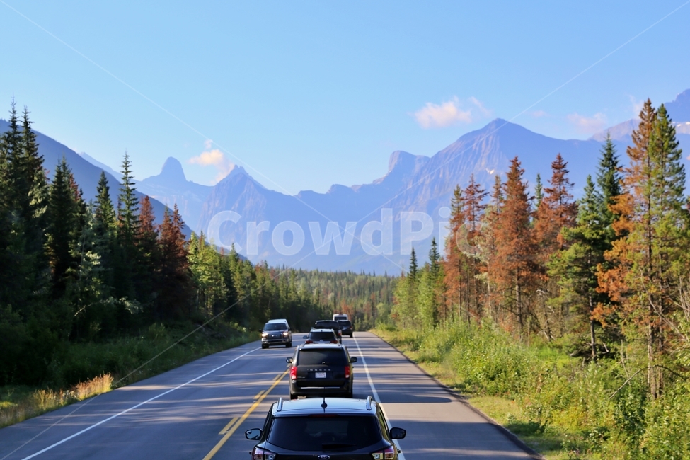 canada,canadianrocky,nationalpark,alberta,캐나다,캐나다록키관광,교통,교통수단,traffic,transportation