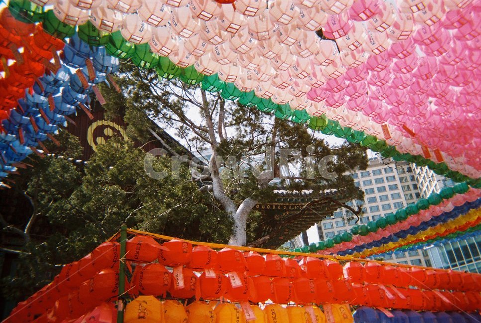 필름,필름카메라,연등,연등제,종로연등제,종교,신앙,religion,belief,faith,축제,행사,festival,carnival,event