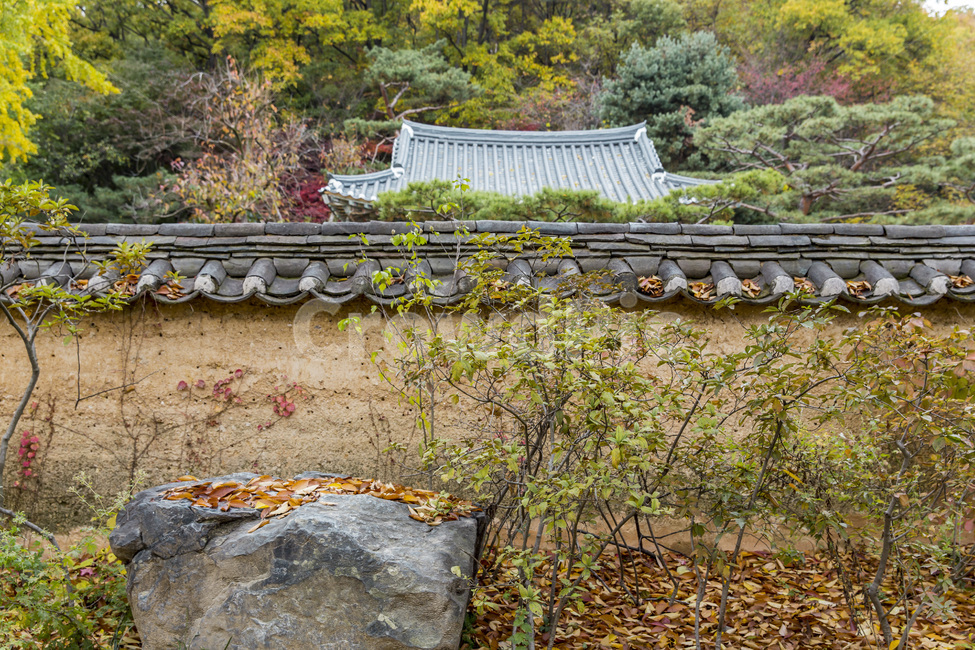 기와,가을,단풍,담벼락,흙담,가을,계절,fall,autumn,season,한국전통,한국문화,korean traditional,korean culture,건축물,건물외관,exterior,building,structure,architecture,construction,flagstone,판석