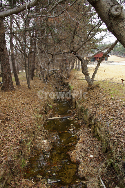 나무,식물,숲,겨울나무,풍경,냇물,자연,풍경,nature,landscape,ditch,도랑,ground,바닥