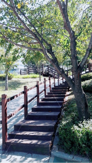 outdoors,옥외,garden,정원,arbour,정자,길,산책로,자연,계단