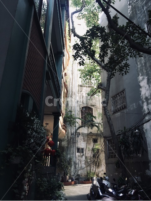 path,통로,walkway,길거리,베트남,하노이