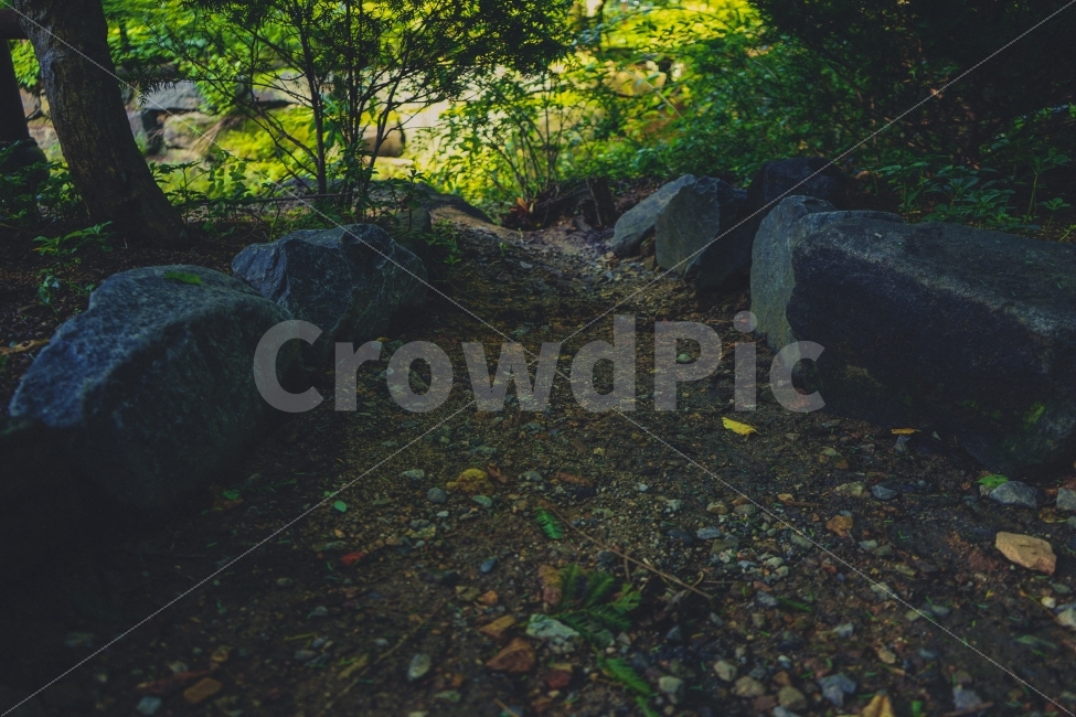 자연풍경,감성사진,휴식,힐링,여행,길,자연,풍경,nature,landscape,여름,계절,summer,season,ground,바닥