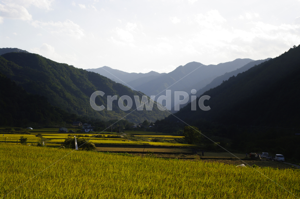 산,논,풍경,시골,농촌,시골,마을,풍경,landscape,country,rural,town