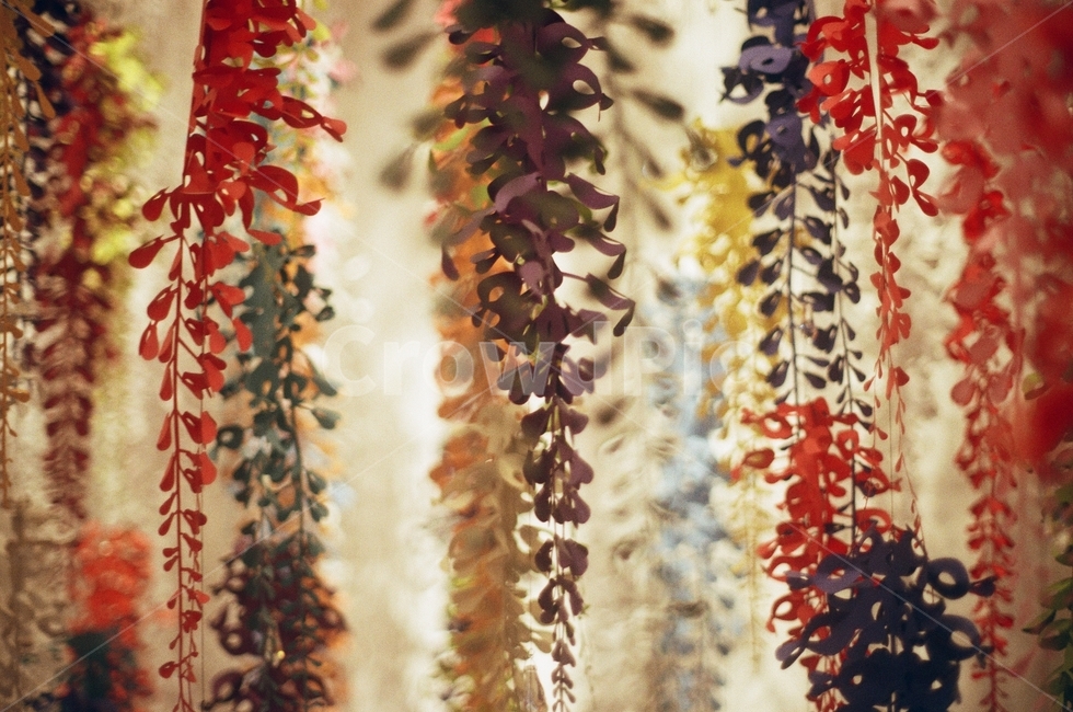 종이꽃,색종이,종이디자인,꽃,colorfull,필름사진,빈티지,무드,인테리어,실내디자인,interior design