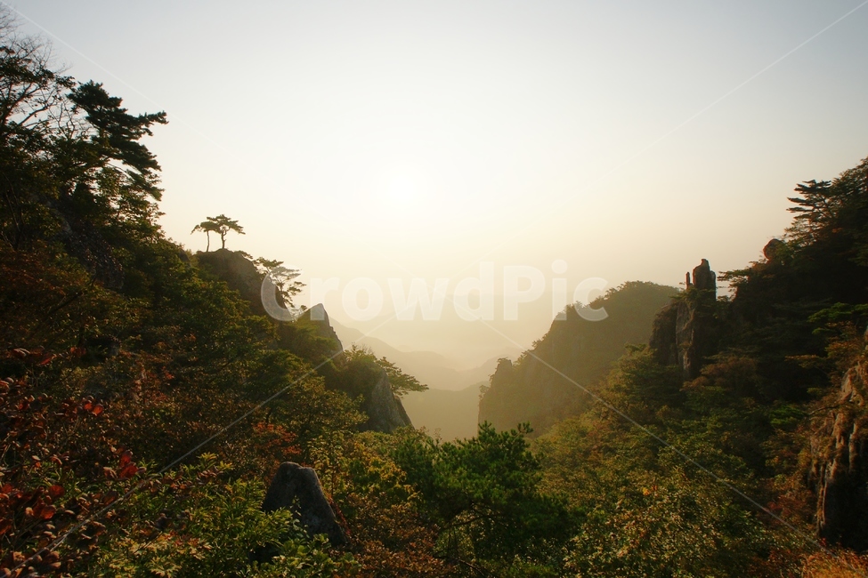 대둔산,브이계곡,가을,안개,소나무,가을,계절,fall,autumn,season,자연,풍경,nature,landscape,outdoors,옥외
