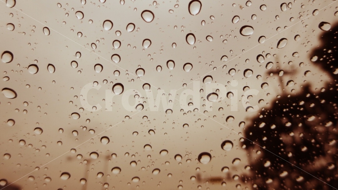 비오는날,감성,rain,빗방울,창가,비,비오는날,rain,rainy,감성,sensible,feeling,흑백,모노톤,monochrome,black and white
