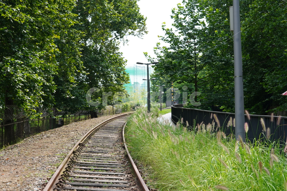 철길,레일,rail,길,철,기찻길,교통,transportation,railway,교통,교통수단,traffic,transportation