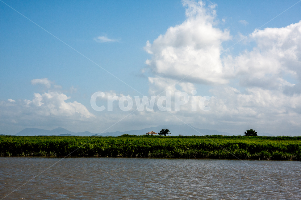 weather,날씨,nature,자연,적운,cumulus,옥외,outdoors,cloud,구름,sky,하늘,land