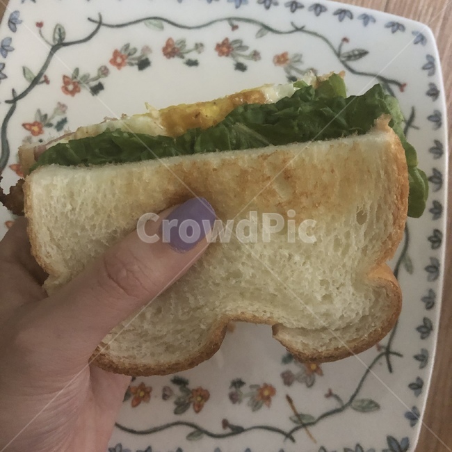 샌드위치,점심,음식,음식만들기,정방향