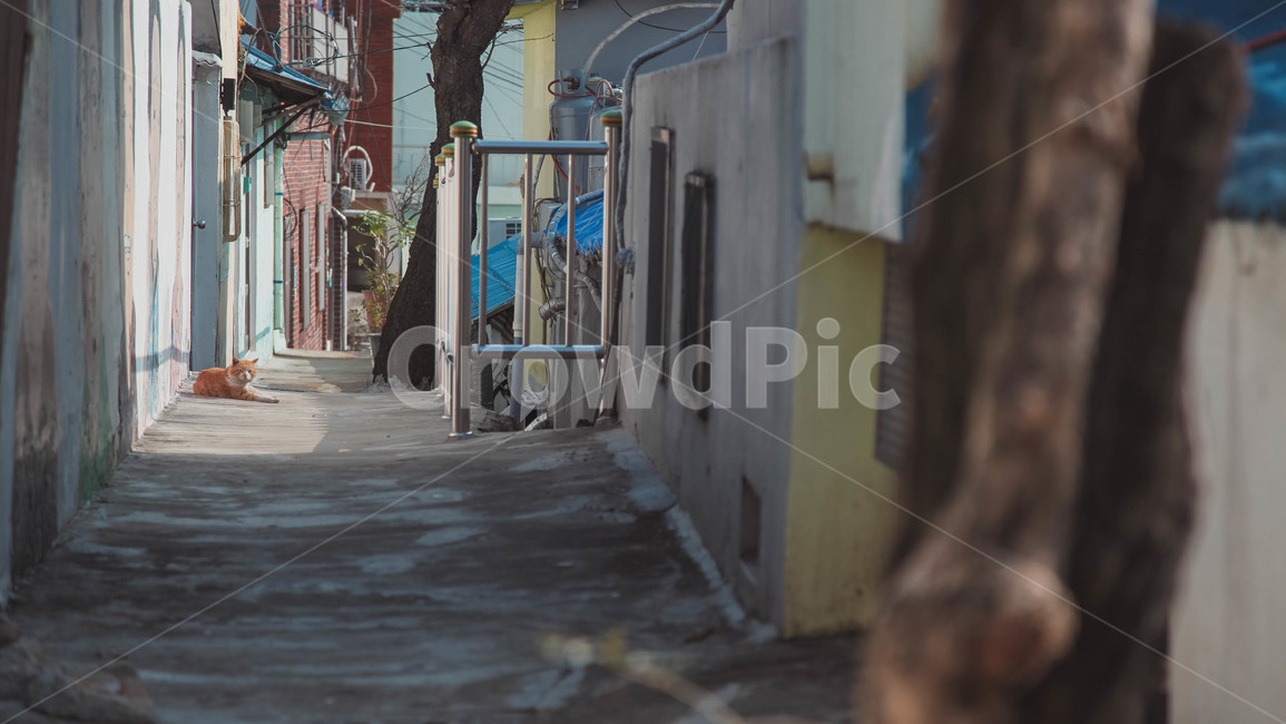 부산,닥밭골,골목,산만디,산복도로,골목길,alley