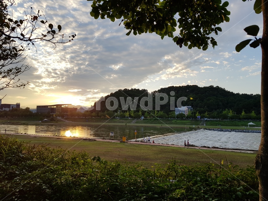 봄,자연,풍경,천변,강