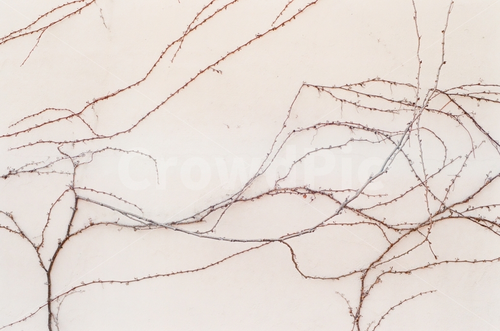 film photography,analog,Minolta x300,film,Emotional photo