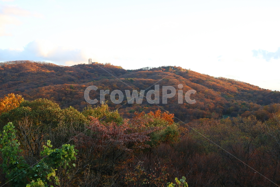 남한산성,산성,자연,풍경,가을,산,단풍,나무,공원,가을,계절,fall,autumn,season,nature,outdoors,옥외,hill,언덕