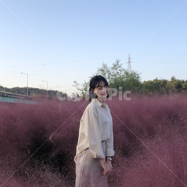 핑크뮬리,여자,가을,사람,인물,가을,계절,fall,autumn,season,사람,인물,인간,human,person,여성,여자,woman,female,lady,여행,휴가,traveling,vacation,trip