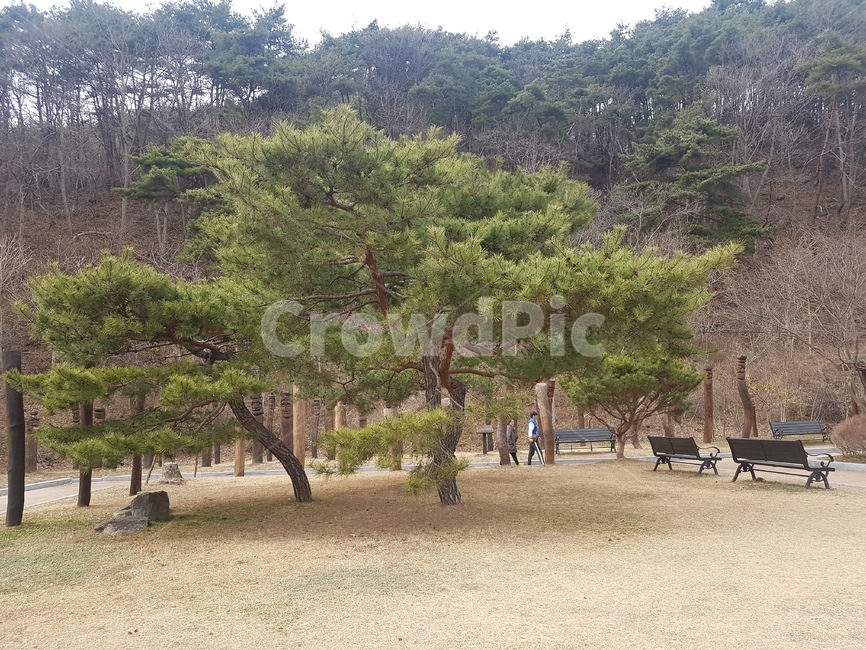칠갑산,청양,산책,장승,공원