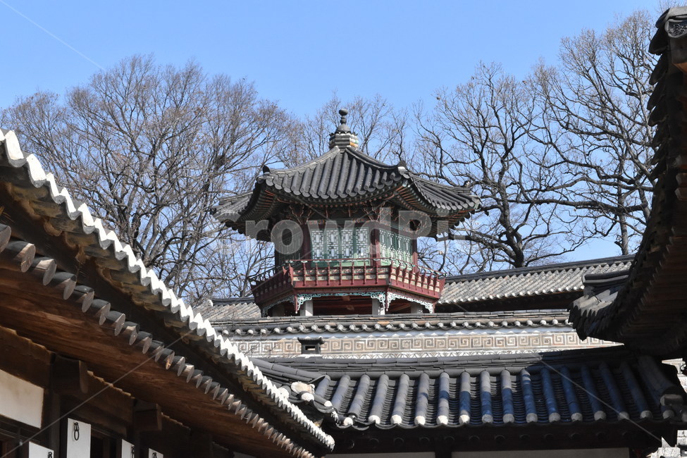 한옥,서울,한국,창덕궁,기와,랜드마크,문화유산,전통,대한민국,Korea,wooden,Koreanstylehouse,한국전통,한국문화,korean traditional,korean culture,건축물,건물외관,exterior,building,structure,architecture,construction