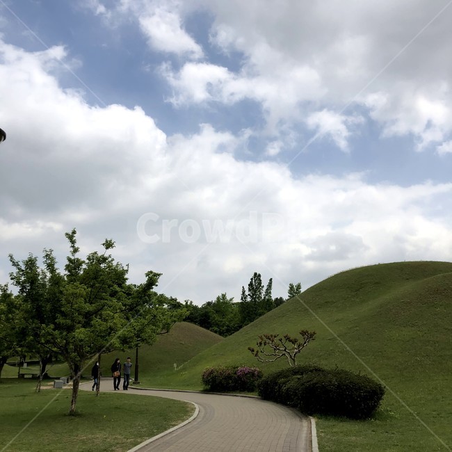 경주,대릉원,릉,언덕,풍경,한적,휴식,여유,힐링,산책