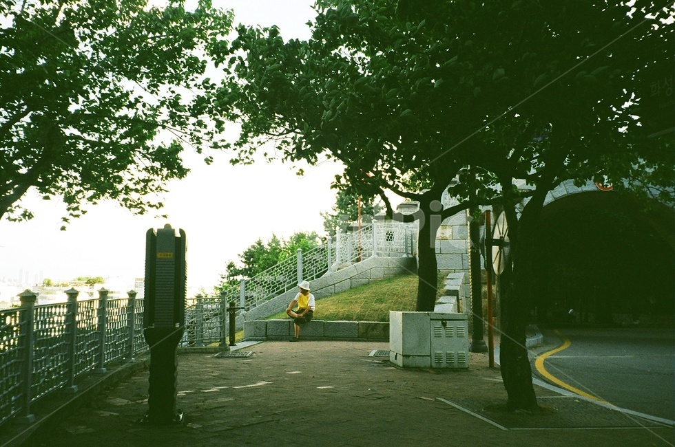 사람,잔디,인간,식물,수원,화성행궁,팔달산,산책,등산,필름,필름사진,자연