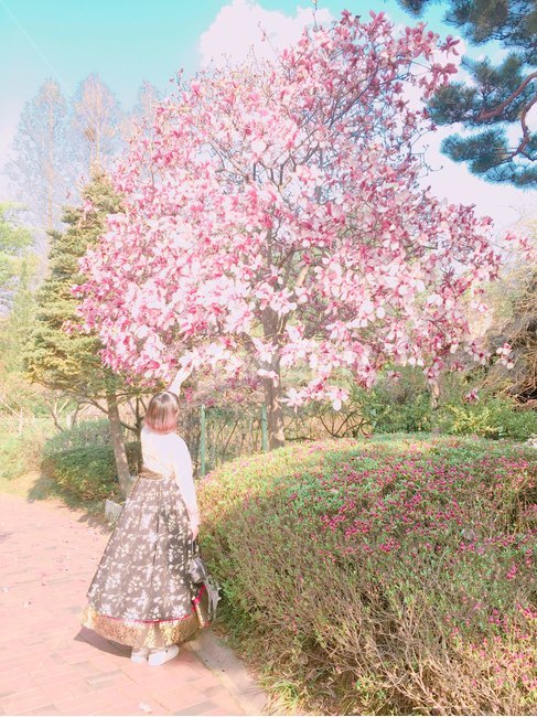 꽃,여자,한복,인물,여행