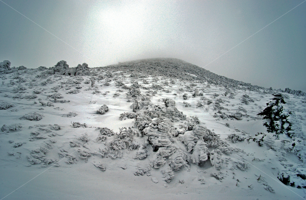 겨울산,한라산,설경,제주도,눈,설목,설화,한라산설경,겨울,계절,winter,season