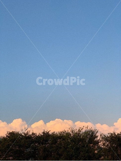 plant,식물,나무,하늘,sky,자연,풍경,nature,landscape,grass,잔디