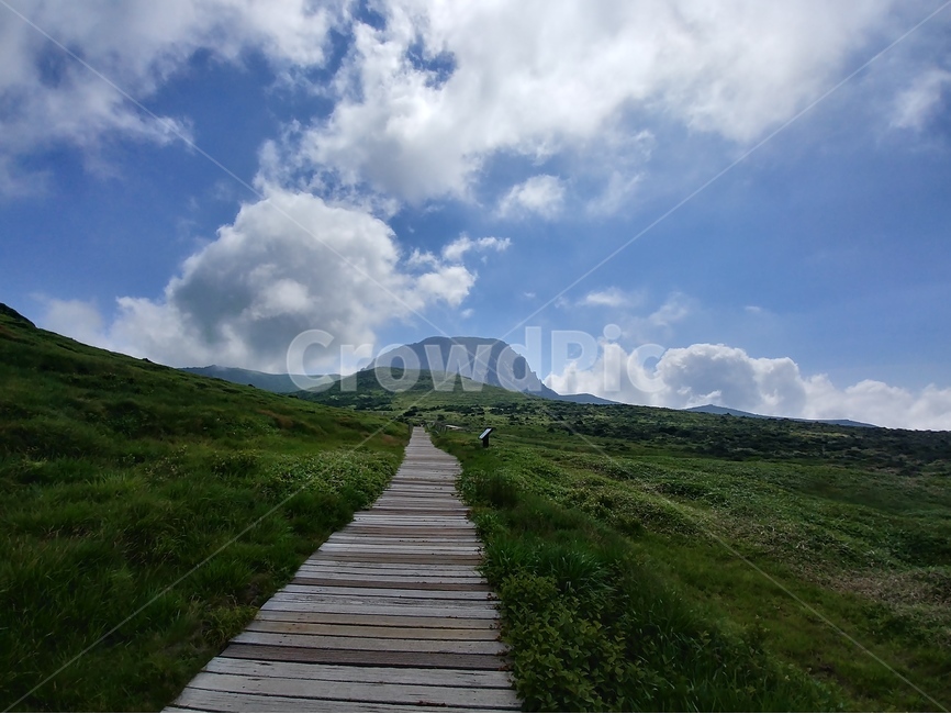 한라산영실코스,영실코스계단,영실코스길,영실코스백록담,백록담,자연,풍경,nature,landscape,outdoors,옥외,grassland,목초지,field,들