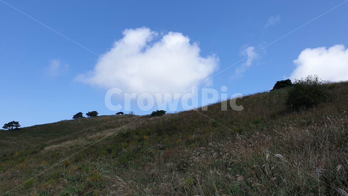 강원도,정선군,민둥산,등산,풍경,nature,자연,landscape,outdoors,자연,풍경,nature,landscape,field,들,grassland,목초지,옥외,slope,경사