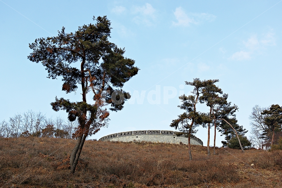 광성보,손돌목돈대,진,성곽,담,돌담,겨울,식물,자연,풍경