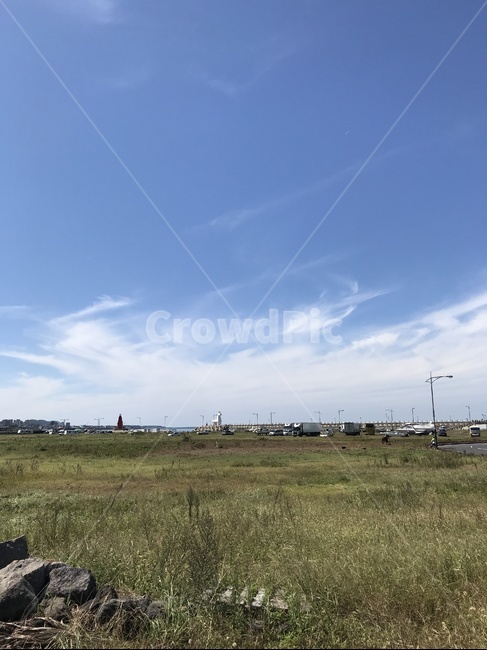 nature,outdoors,옥외,자연,제주,하늘,땅,제주도,jeju,jeju island