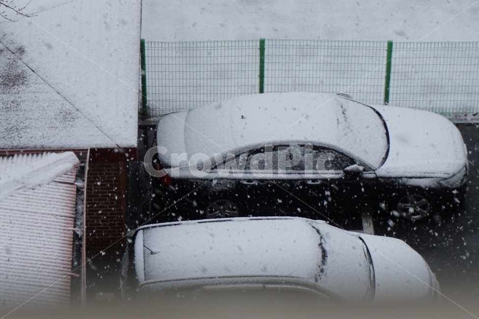 automobile,parking lot,white eyes,big eyes,Apartment complex,winter