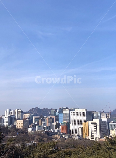 빌딩,건물,남산뷰,남산경치,회사건물,building,city,도시,town