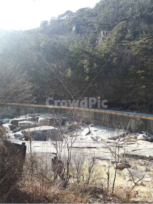 경치,풍경,자연,야외,아름다움,감성,자연,풍경,nature,landscape,한국자연풍경,한국자연경관,korea nature landscape,plant,식물,tree,나무
