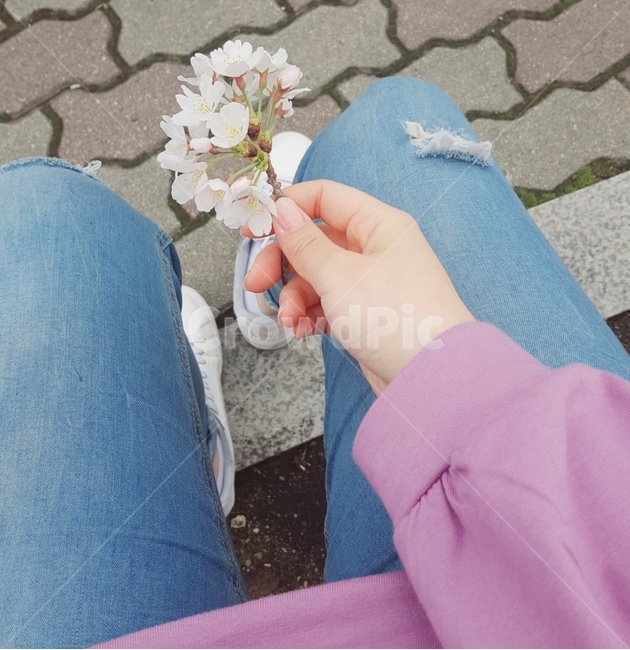 벚꽃,다리,바지,보라,꽃,청바지,손,꽃,flower,신체일부,몸,body