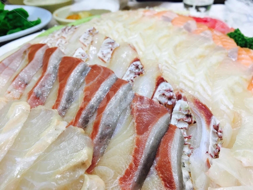 회,안주,생선회,술,술안주,음식,식재료,요리,food,cook,meal,dishes,food reserves,수산물,해산물,fishery products,seafood