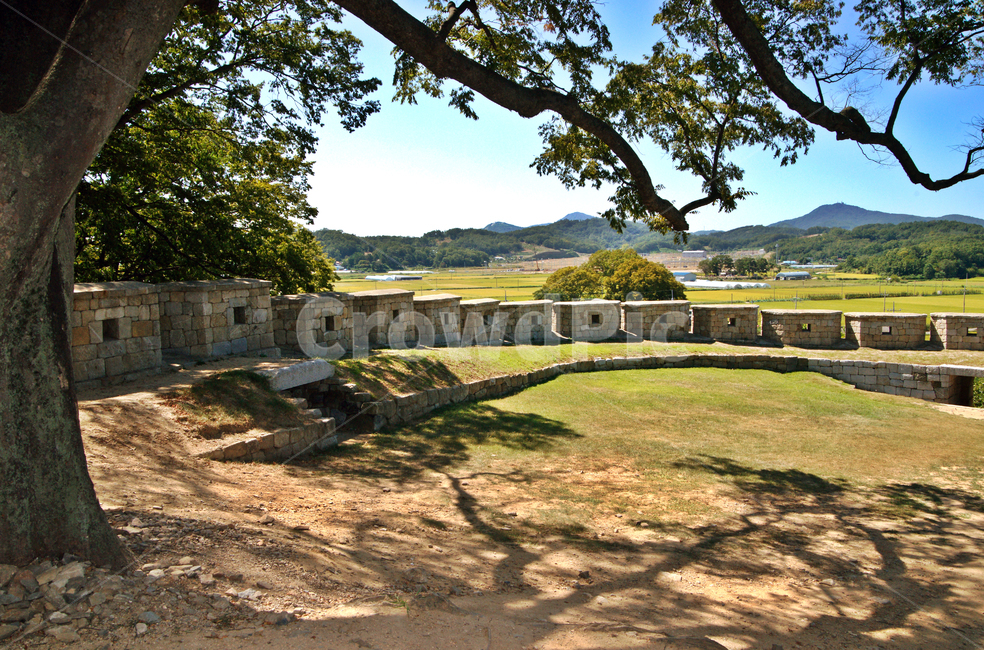 옹성,연미정,강화도,월곶리,성곽,느티나무,월곶돈대,자연,풍경,nature,landscape,한국자연풍경,한국자연경관,korea nature landscape,한국전통,한국문화,korean traditional,korean culture,plant,식물,tree,나무,tree trunk,나무 줄기,ground,바닥