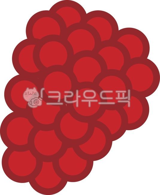 산딸기,가을요소,가을열매,붉은산딸기,라즈베리,샐러드