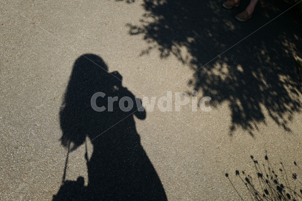 그림자,실루엣,인물,사람,사진찍기,사람,인물,인간,human,person,여성,여자,woman,female,lady,인물실루엣,사람실루엣,character silhouette,human silhouette