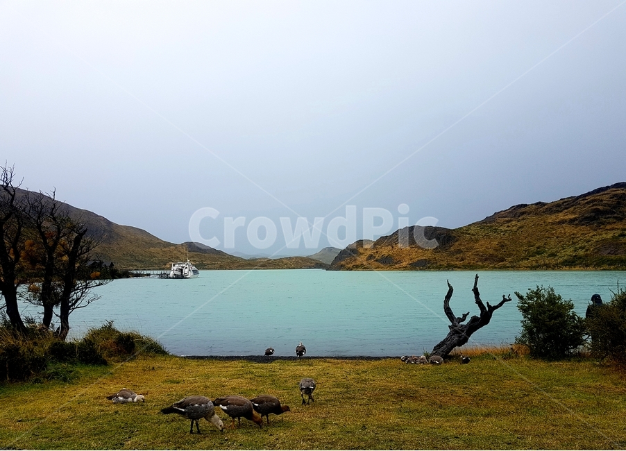 호수,야생,청정,날씨,자연,자연,풍경,nature,landscape,해외,외국,세계,foreign,oversea,world,세계자연풍경,해외자연풍경,외국자연풍경,world nature landscape,water,물,outdoors,옥외,land,땅