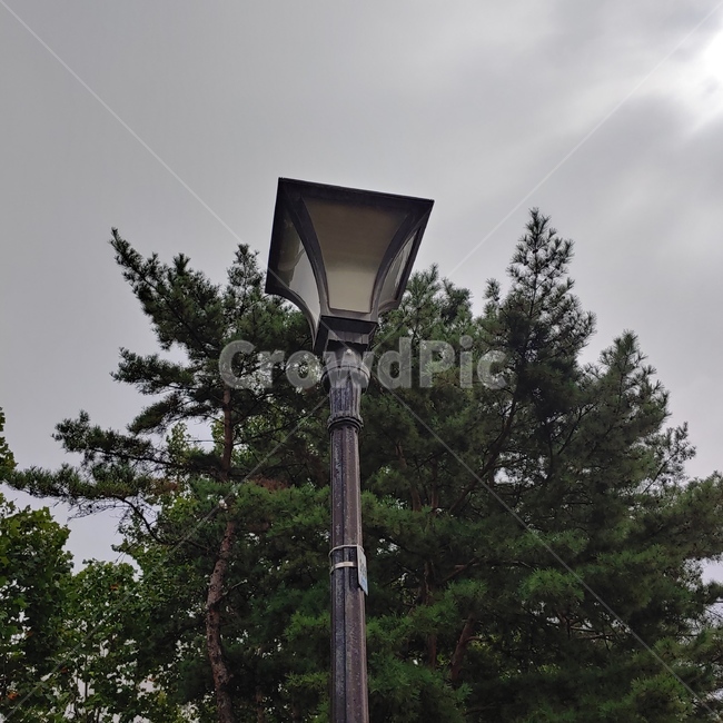 가로등,전등,streetlamp,먹구름,나무,하늘,lamppost,램프포스트,darkclouds,clould,tree