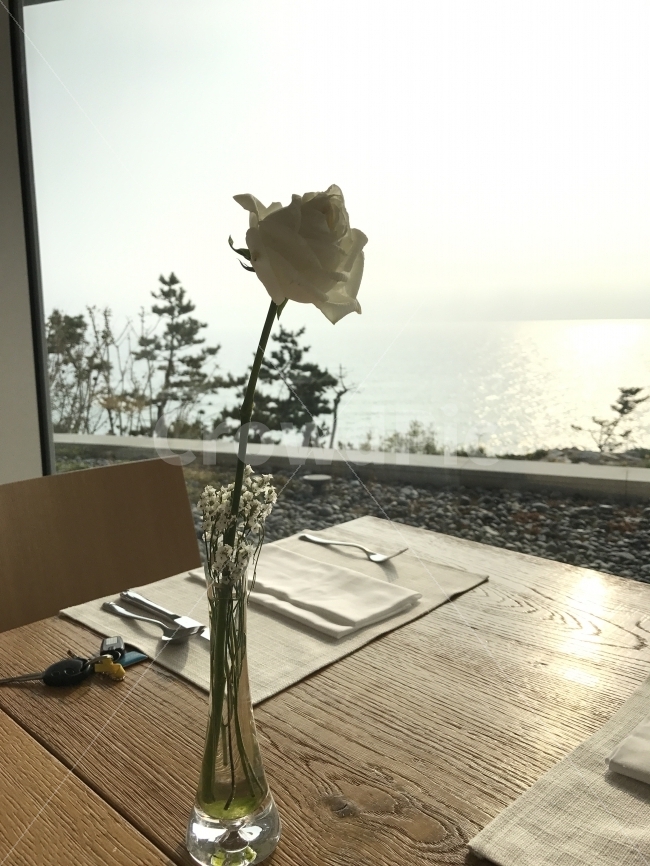 꽃,바다,카페,브런치,힐링,휴식,휴식,힐링,rest,relaxation,healing,식물,자연,plants,nature,꽃,flower