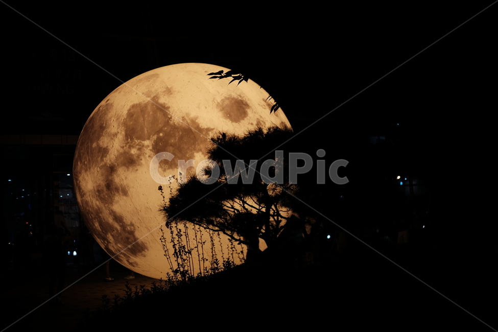 달,moon,moonlight,moonphoto,fullmoon,보름달,야경,밤,풍경,nightscape,night,landscape