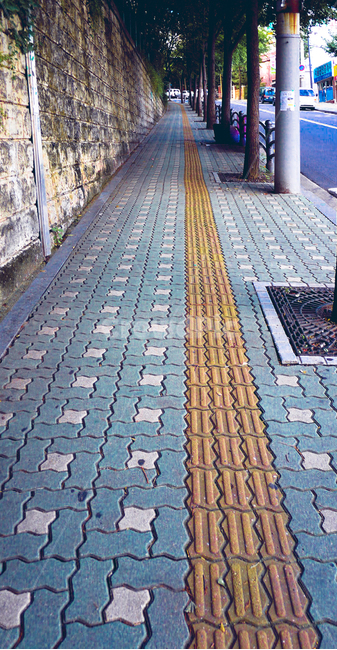 길,노란색,가로수,도로,인도,통로,포장,pavement,path,바닥,floor,판석,보도,sidewalk